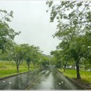 OK 스크린 골프 | 경주 용강 OK 스크린골프 깔끔한 시설의 골프존파크