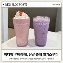 빽다방대전둔곡점 | 빽다방 우베라떼, 냥냥 춘배펀치 딸기 스무디 (솔직후기)
