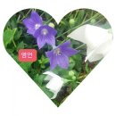 달성카프라자 이미지