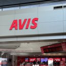미국 Avis 렌트카 아비스 비추 후기 풀보험 픽업 주의사항 환불
