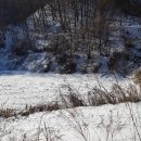 여주-1129 이미지