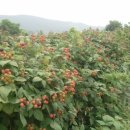 선운산농협 공음지점 이미지