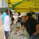 홍주대서 이미지