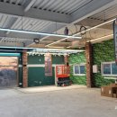 다함모터스 이미지