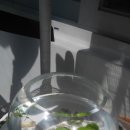 부례농장 이미지