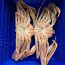 대일수산 이미지