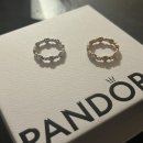 어바웃판도라 이미지