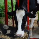 고요목장 이미지