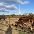 리오목장 이미지