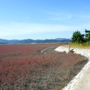 남도삼백리길(1코스) 이미지