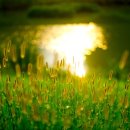 이미지 동영상 제작 이미지