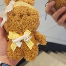 구구랜드 실키팜 | 대구 동성로에서 즐기는 리조또맛집 '홀그레인'