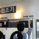 에코워시24 이미지