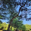 해찬솔공원 네이버블로그
