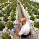 유신약품 이미지