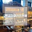 [박금자갤러리카페] 군산 엔틱 감성카페☕️ 박금자갤러리｜천연효소차와 함께하는 조용한 힐링 공간 후기