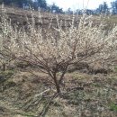 원영농장 이미지