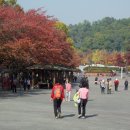 목요회 서울 대공원 산림욕장 이미지