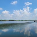 스타벅스천안업성레이크점 이미지