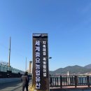 남해 가볼만한곳 🌊 세계중요농업유산 지족해협 죽방렴어업 후기