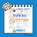 다산NIE