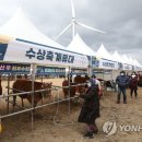 박창남 이미지