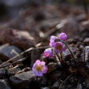 환희2농장 이미지