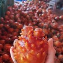 대진수산 이미지