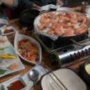 다마시떼 네이버블로그