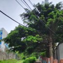 CU 용호쌍용점 이미지