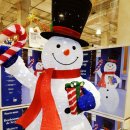 인튜이티브씨디엑스바이오 | 코스트코일산 10,11월 할인 추천품목