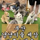 브룩스캣슬 이미지