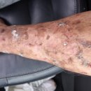 호성약국 이미지