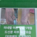 봉곡 사우나 찜질방 네이버블로그
