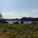 강남여주부동산공인중개사사무소 이미지