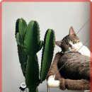 따뜻한 동물병원 이미지