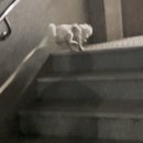 주식회사 국개대표 이미지