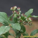 신이환경 이미지