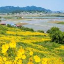 송도동 솔향 작은도서관 | 영광 가볼만한곳 베스트10 후기