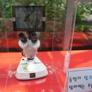 연향기가 이미지