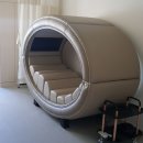 둔산엔젤요양병원 이미지