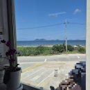 반도정식당 | [전북 변산 맛집] 변산반도 가면 꼭 들러야 할 '변산명인바지락죽' 내돈내산 후기