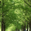 하은목장 이미지