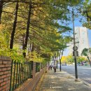 화정경로당 | 덕양구 화정동 대장아파트 임장 후기(별빛마을청구현대7단지아파트)