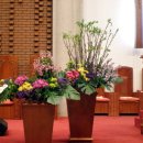 동대전성결교회 이미지