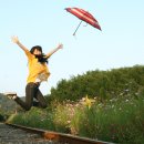 하늘을 향하여 이미지