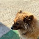 내린천 다락방 이미지