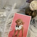 딸기펫살롱 이미지