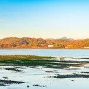 선진크레인 이미지