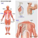 썸머핏(SUMMERFIT) 이미지